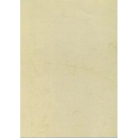 Előnyomott papír, A/4 200gr havanna színű 10 lap/csomag