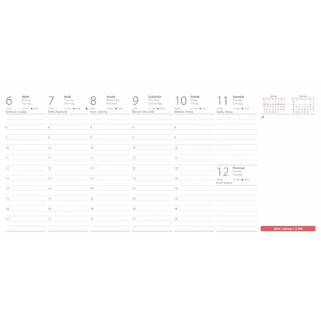 Asztali naptár 2025 álló, DAYLINER, Oktáv 320x150mm magyar-angol-német nyelvű naptár