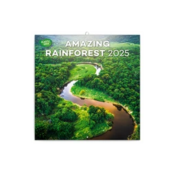 Falinaptár 2025 REAL lemez 300×600mm nyitva Amazing Rainforest