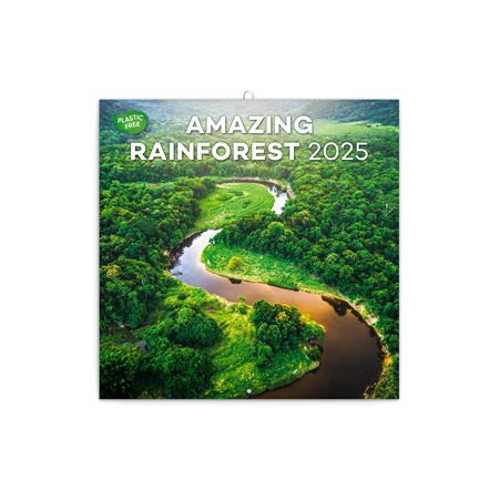 Falinaptár 2025 REAL lemez 300×600mm nyitva Amazing Rainforest