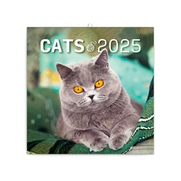 Falinaptár 2025 REAL lemez 300 × 600mm Cats 6096