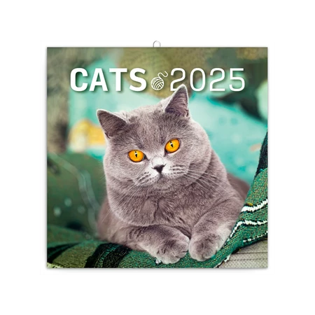 Falinaptár 2025 REAL lemez 300 × 600mm Cats 6096