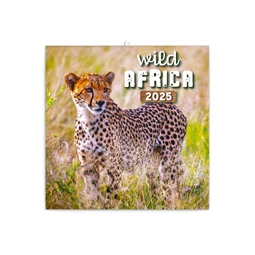 Falinaptár 2025 REAL lemez 300 x 600mm Wild Africa 6097-WA