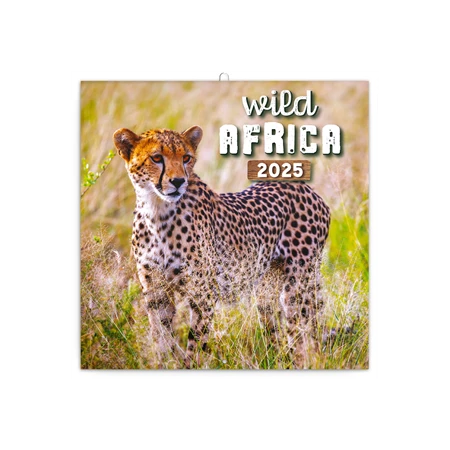 Falinaptár 2025 REAL lemez 300 x 600mm Wild Africa 6097-WA