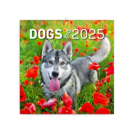 Falinaptár 2025 REAL lemez 300 x 600mm nyitva DOGS 6097