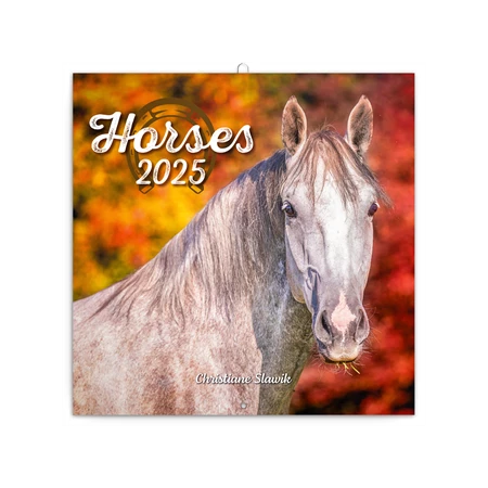 Falinaptár 2025 REAL lemez 300 x 600mm nyitva Horses 6097