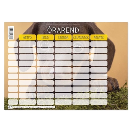 Órarend PD 165x117mm Állatos