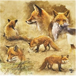 Szalvéta 33x33cm 20db/csomag Portraits of Foxes, Róka portré