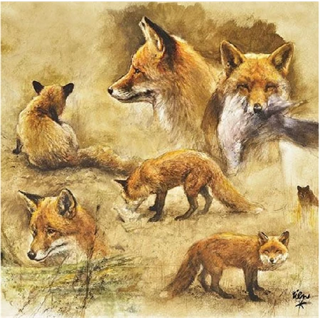 Szalvéta 33x33cm 20db/csomag Portraits of Foxes, Róka portré