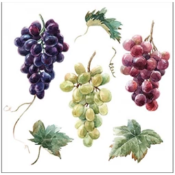 Szalvéta 33x33cm 20db/csomag Wine Grapes, Szőlőfürtök