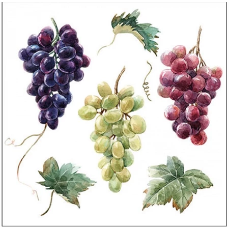 Szalvéta 33x33cm 20db/csomag Wine Grapes, Szőlőfürtök