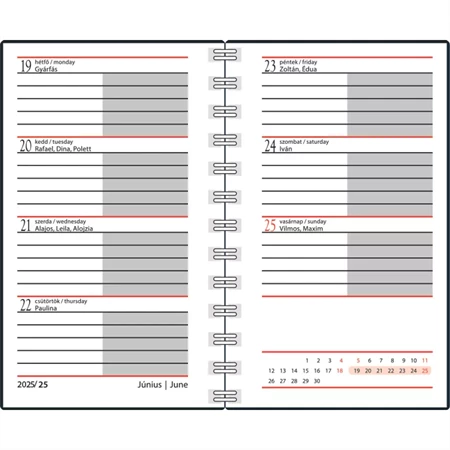 Zsebnaptár 2025 heti B/7 REAL 8811 spirál, álló elrendezés, absztrakt